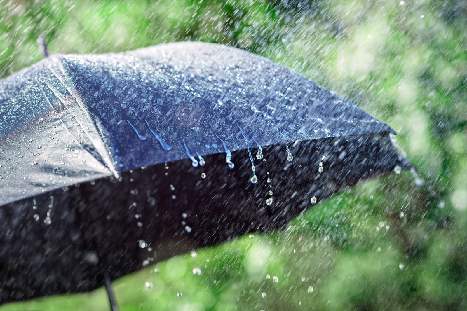 Open umbrella in the rain