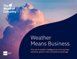 Cover of Weather Means Business research report